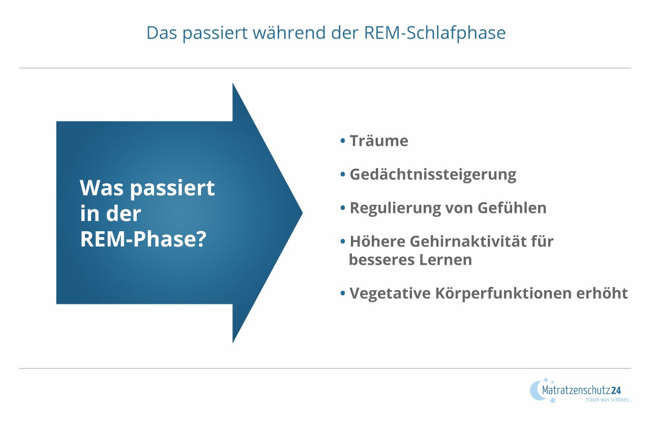 Was w&auml;hrend der REM Schlafphase passiert