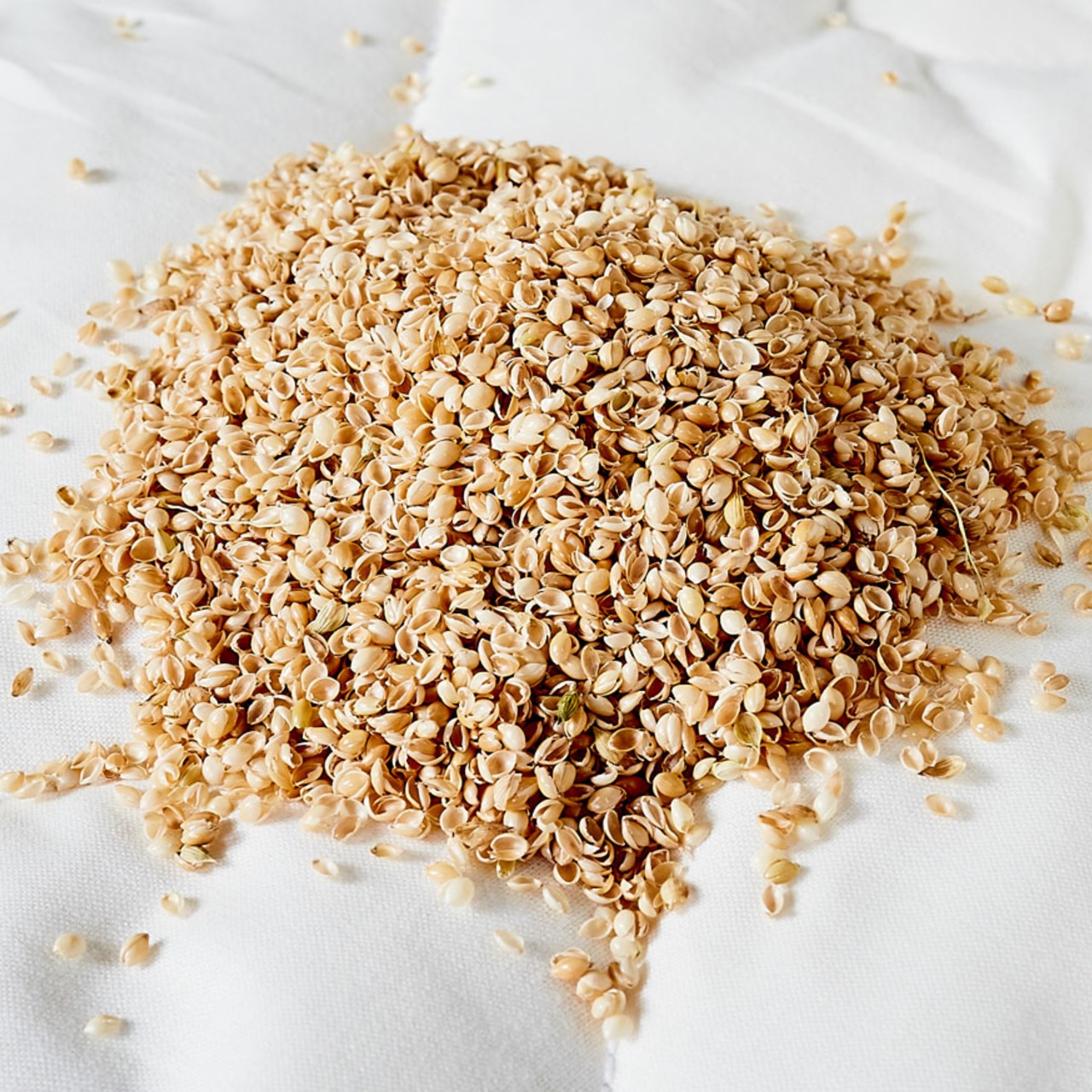 Hirsekissen mit waschbarem Bezug aus Baumwolle