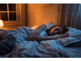 Bild von Mücken im Schlafzimmer